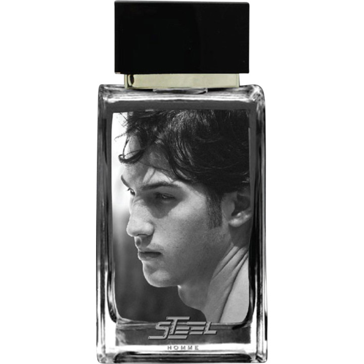 Steel by Parisvally perfume bottle