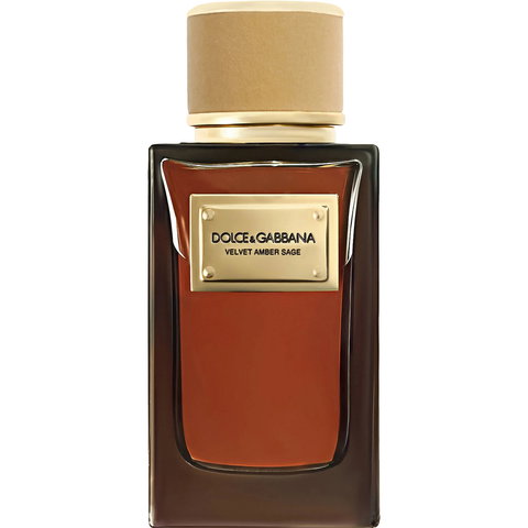 Velvet Amber Sage by Dolce & Gabbana perfume bottle
