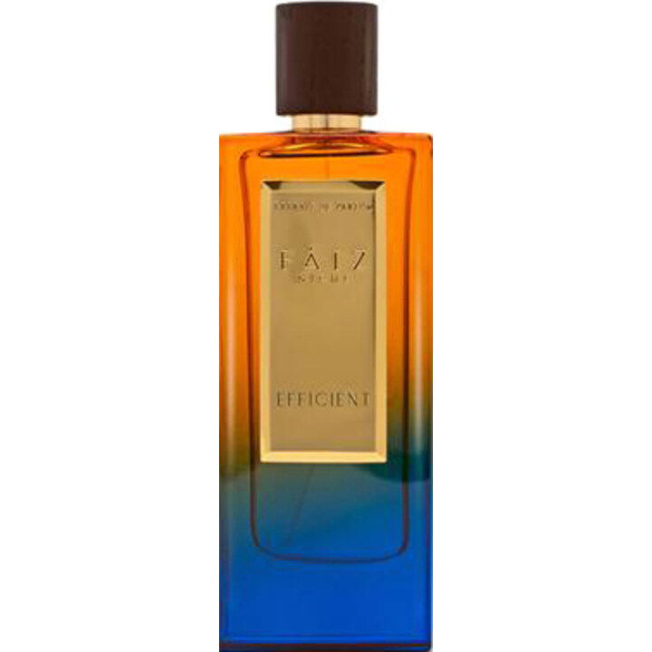 Premium Collection - Efficient by Faiz Niche perfume bottle