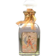 Corylopsis by A. A. Vantine & Co. perfume bottle