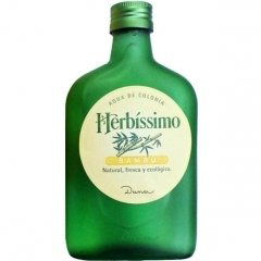 Herbíssimo Bambú by Dana perfume bottle