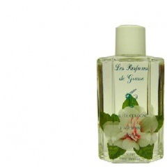 Eau de Cologne à l'Ancienne - Jasmin by Les Parfums de Grasse perfume bottle
