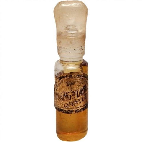 Dralle's Illusion - Ylang Ylang by Dralle perfume bottle
