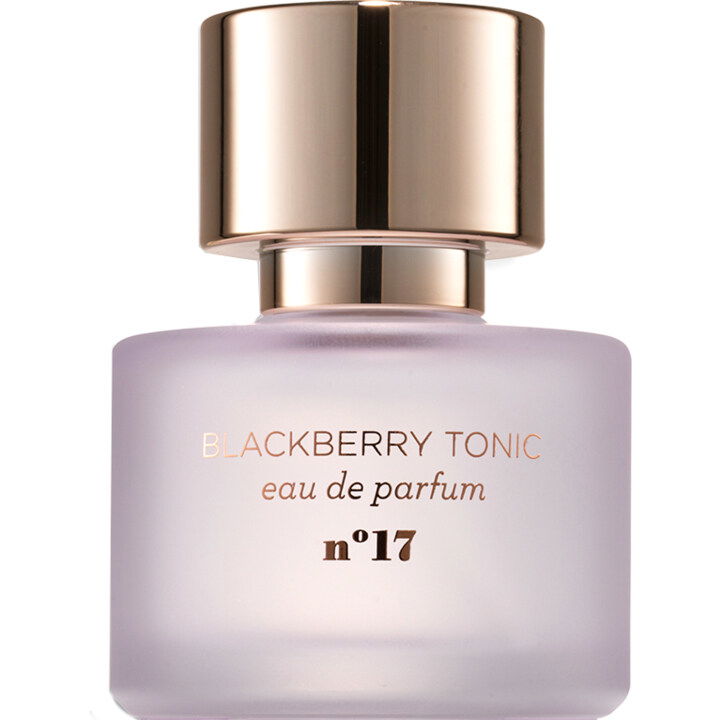 Nº17 Blackberry Tonic EDP by Mix:Bar perfume bottle