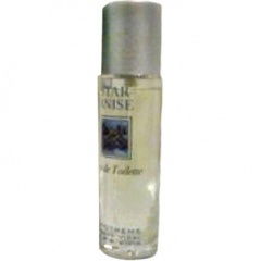 Star Anise by Monotheme perfume bottle