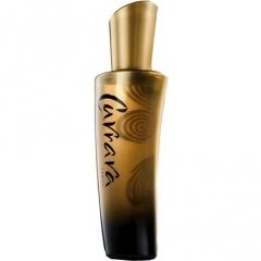 Taboo by Currara perfume bottle
