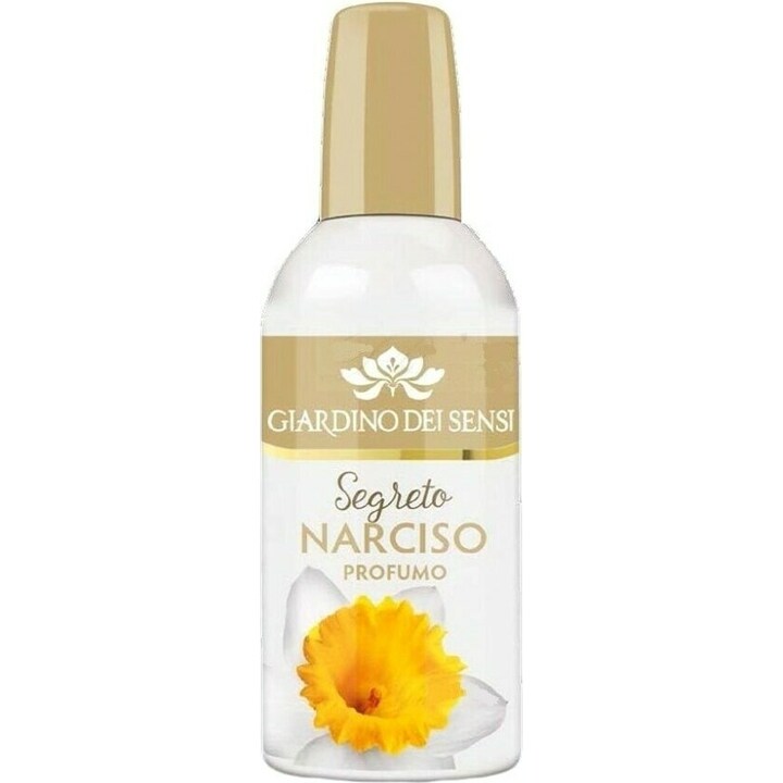 Segreto Narciso