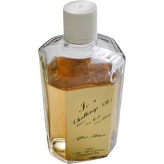 Irion Challenge NR 1 (After Shave) by I & P Cosmetic perfume bottle