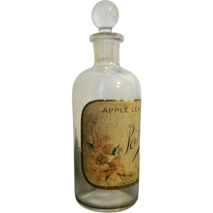 Apple Leaves by Solon Palmer perfume bottle
