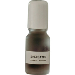 Stargazer by Pranic Forest perfume bottle