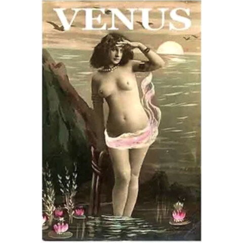 Divine - Venus EDT by Opus Oils perfume bottle