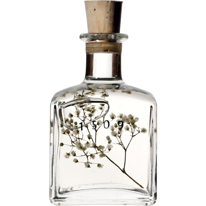 Sophia by 1509 perfume bottle