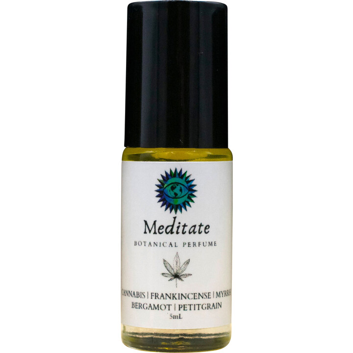 Meditate by 42020 Visionaries perfume bottle