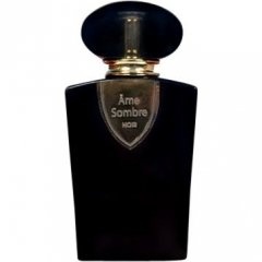 Ãme Sombre Noir by Ame Sombre perfume bottle