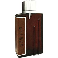 Esteem Brown by Parisvally perfume bottle