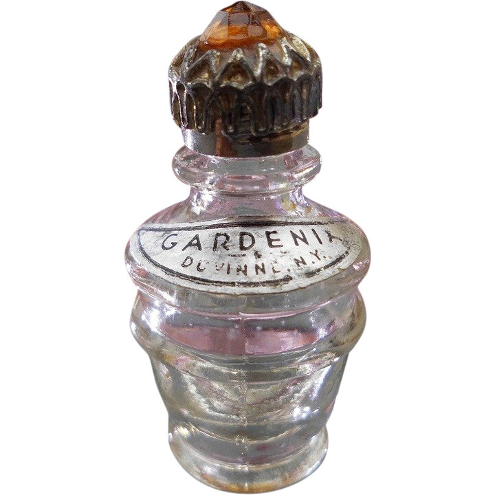 Gardenia by Duvinne perfume bottle