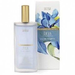 Floral Collection - Iris by Marks & Spencer perfume bottle