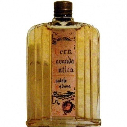 Vera Lavanda Antica by Càntele perfume bottle