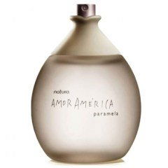 Amor America Paramela by Natura perfume bottle