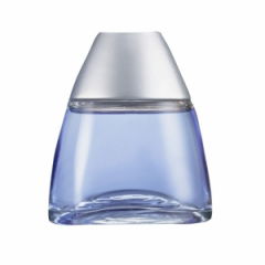 Blue Rush by Avon perfume bottle