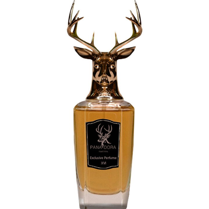 XVI by Pana Dora perfume bottle