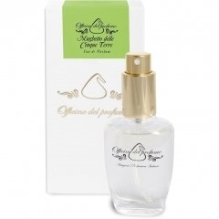 Mughetto delle Cinque Terre by Marcoccia / Officine del Profumo perfume bottle