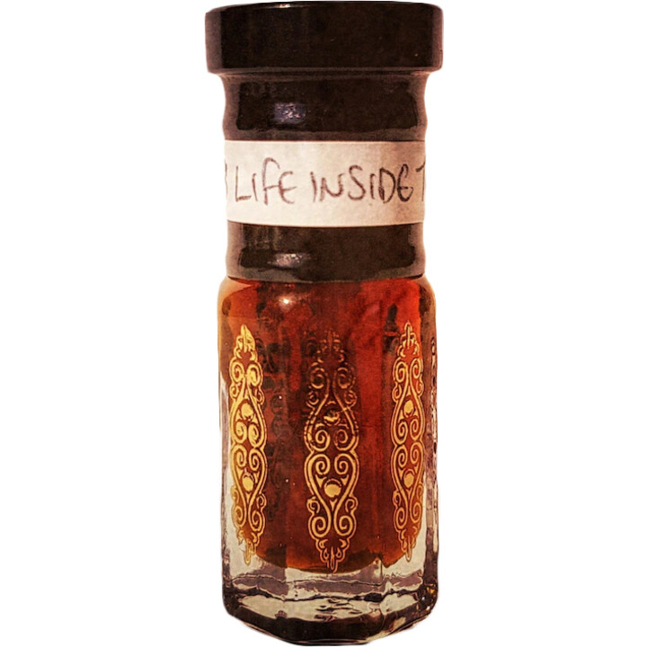 Life Inside The Rocks II by Mellifluence Perfume perfume bottle