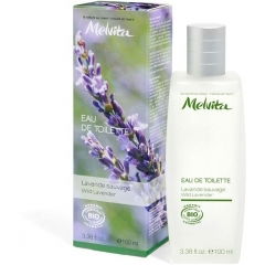 Lavande Sauvage / Wild Lavender