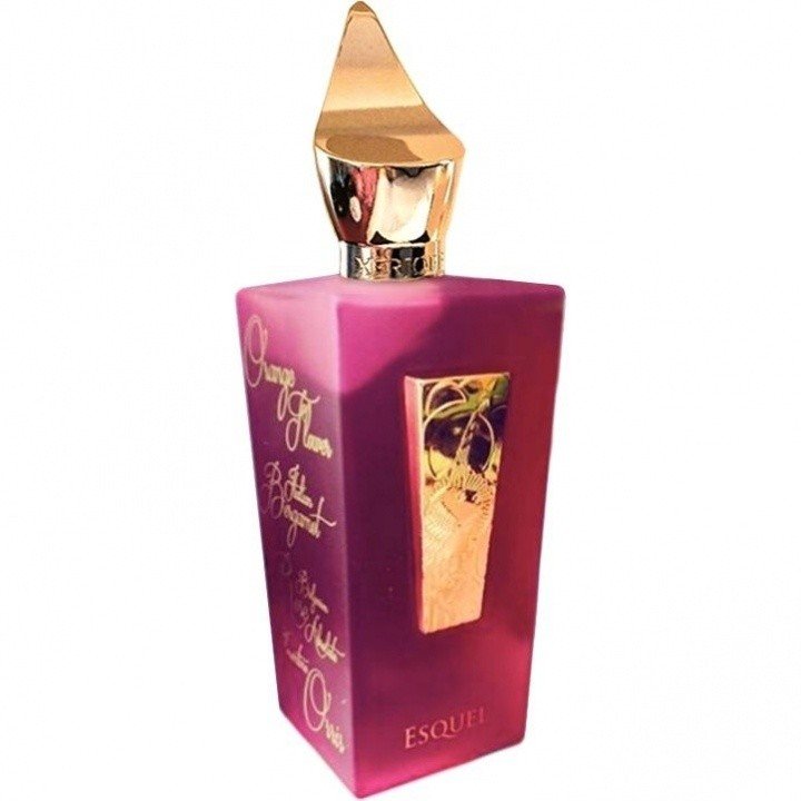Esquel Special Edition by XerJoff perfume bottle
