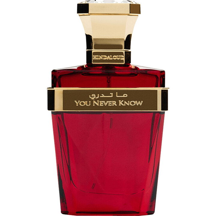 You Never Know by Hind Al Oud / هند العود perfume bottle