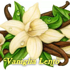 Vaniglia Lento by Pulp Fragrance perfume bottle