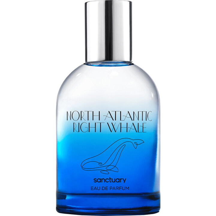 North-Atlantic Right Whale