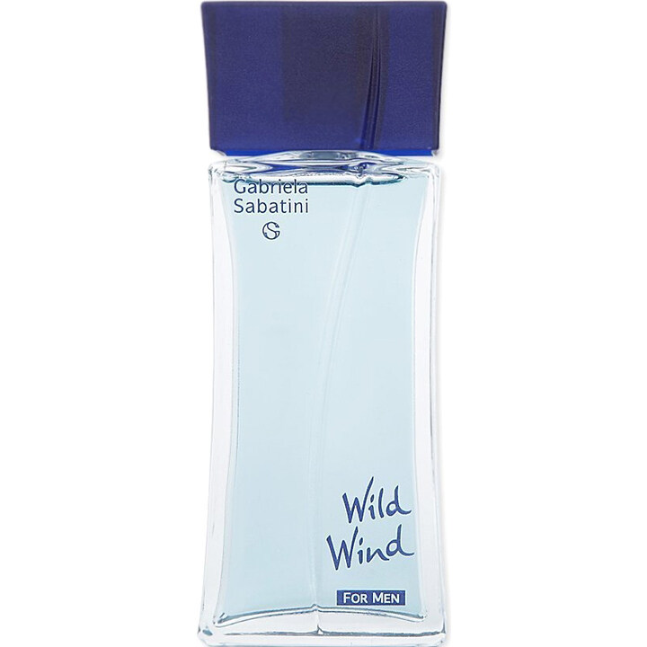 Wild Wind for Men (After Shave) by Gabriela Sabatini perfume bottle