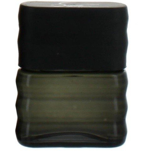 Style by Rembrandt perfume bottle