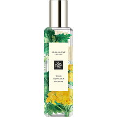 Wild Achillea by Jo Malone London perfume bottle