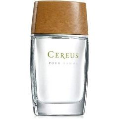 Pour Homme N° 4 by Cereus perfume bottle