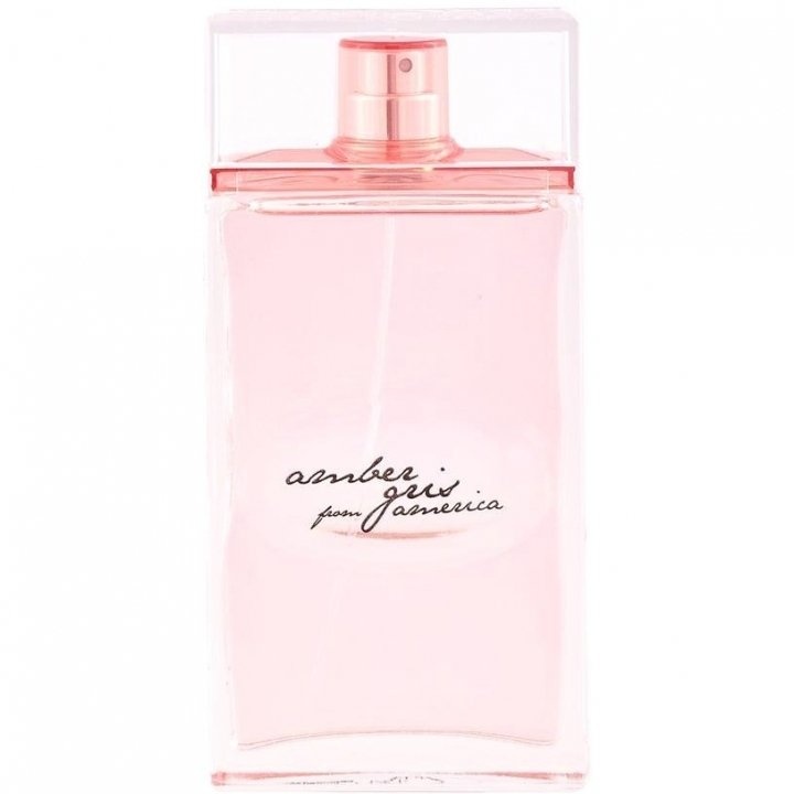 Amber Gris from America by Alviero Martini perfume bottle