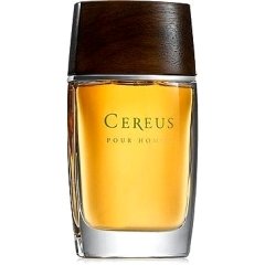 Pour Homme N° 11 by Cereus perfume bottle