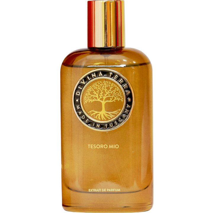 Tesoro Mio by DiVina Terra perfume bottle