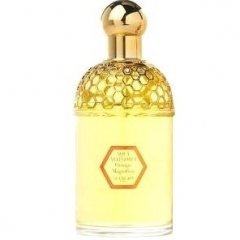 Aqua Allegoria Orange Magnifica by Guerlain perfume bottle