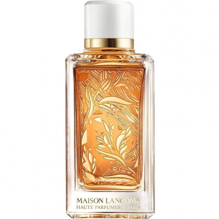 Santal Kardamon by Lancôme perfume bottle