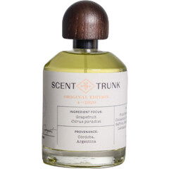 Grapefruit / April 2020 by Scent Trunk perfume bottle