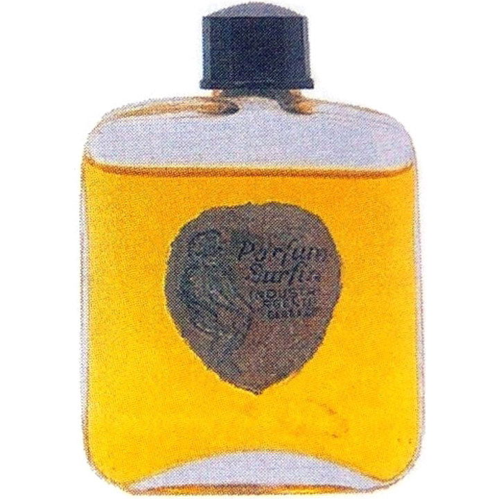 Parfum Surfin by Unknown Brand / Unbekannte Marke perfume bottle