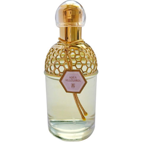 Aqua Allegoria Lavande Velours by Guerlain perfume bottle