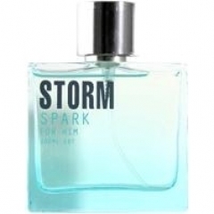 Spark for Him by Storm perfume bottle