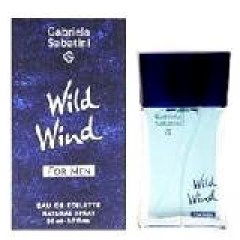 Wild Wind for Men EDT by Gabriela Sabatini perfume bottle