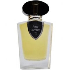 Ãme Sombre II by Ame Sombre perfume bottle