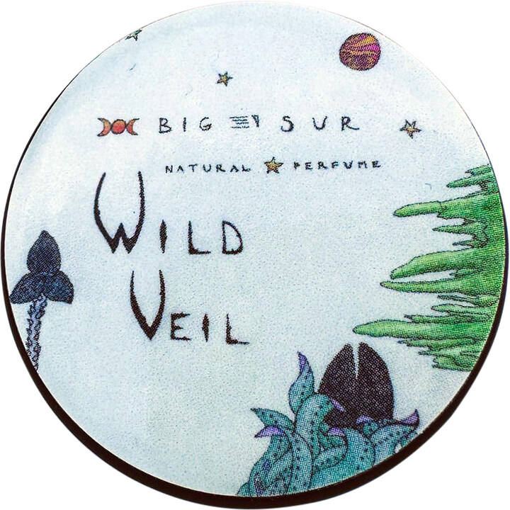 Big Sur (Solid Perfume) by Wild Veil Perfume perfume bottle