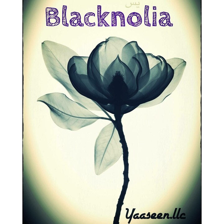 Blacknolia by Yaaseen perfume bottle