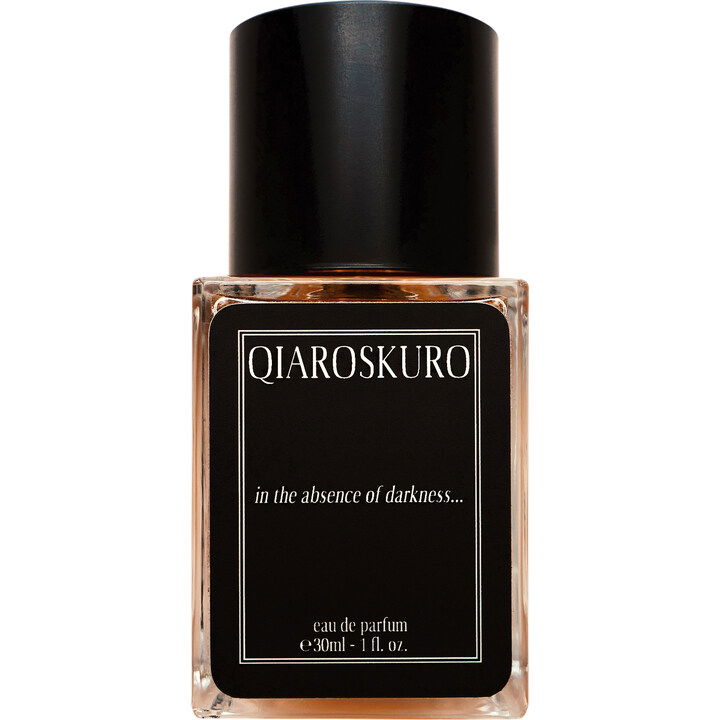 In the Absence of Darkness... EDP by Qiaroskuro perfume bottle